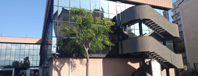 TPL, Il Comune incontra Trotta che nega le immagini