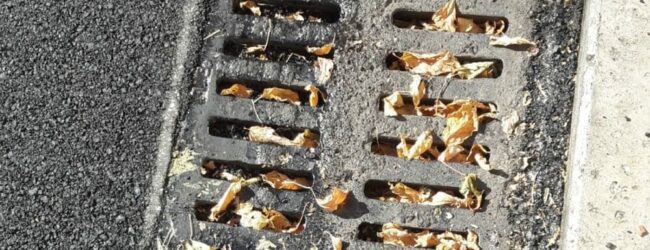 Codacons Campania: stop agli allagamenti, urge pulizia dei tombini