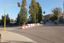 Alberi messi in sicurezza, i bus extraurbani tornano a Via Mustilli