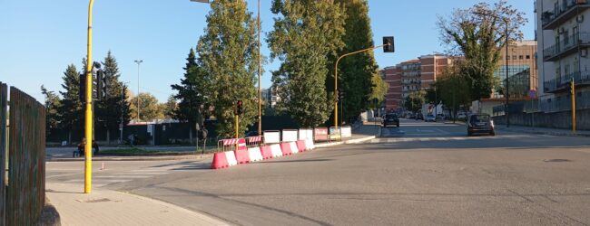 Alberi messi in sicurezza, i bus extraurbani tornano a Via Mustilli