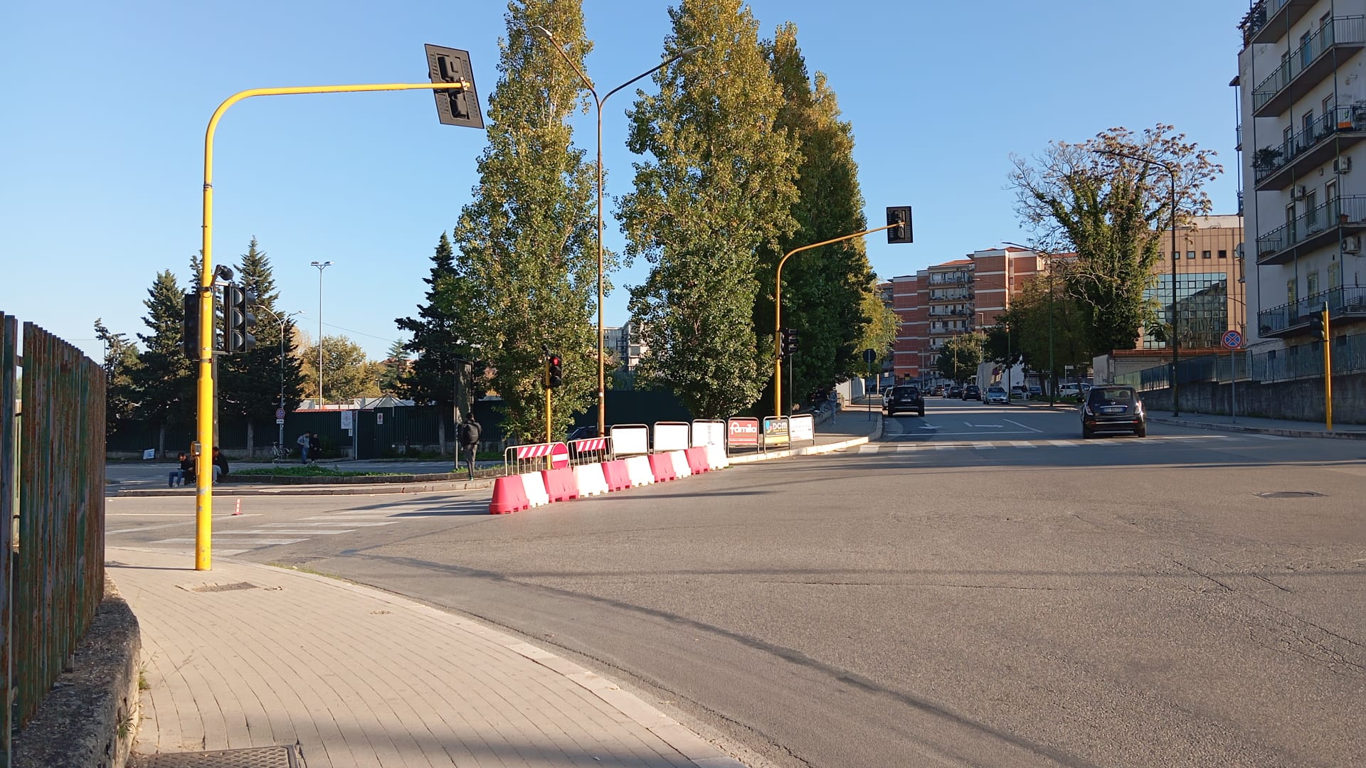 Alberi messi in sicurezza, i bus extraurbani tornano a Via Mustilli