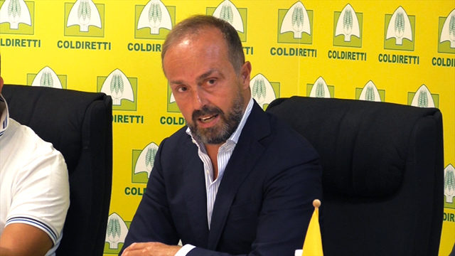 Coldiretti, Masiello: “presentiamo il nostro manifesto di idee strategiche indispensabili per garantire il rilancio e lo sviluppo dell’Agricoltura”