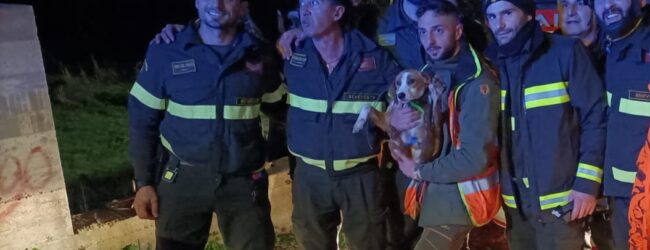 Vigili del Fuoco salvano cagnolino a Sant’Angelo a Cupolo