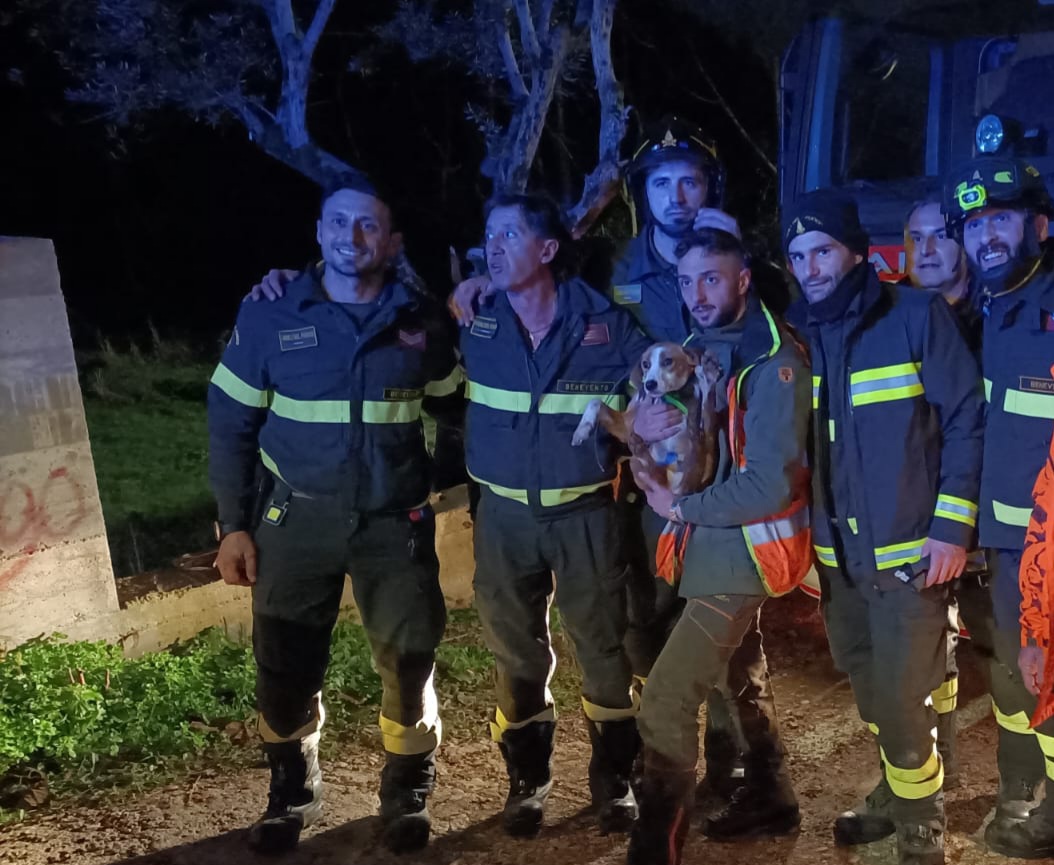 Vigili del Fuoco salvano cagnolino a Sant’Angelo a Cupolo