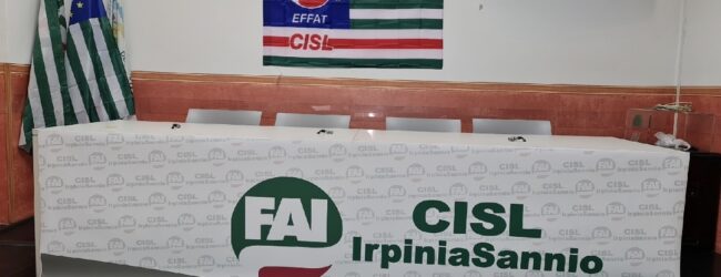 Eletta la nuova Segreteria Aziendale CISL FP presso la Provincia di Avellino