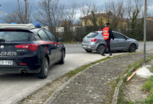 Mirabella Eclano: i Carabinieri denunciano un uomo che trasportava rifiuti animali senza autorizzazione