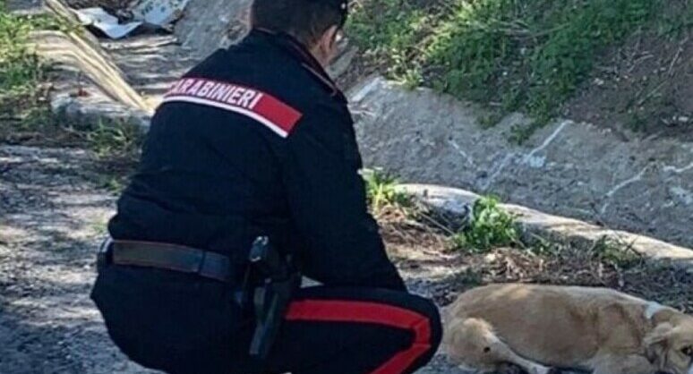 San Martino Valle Caudina (AV) – Maltratta un cane con un bastone. Denunciata dai Carabinieri