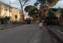 Pini, dietrofront: il Gip non convalida il provvedimento di sequestro della Procura