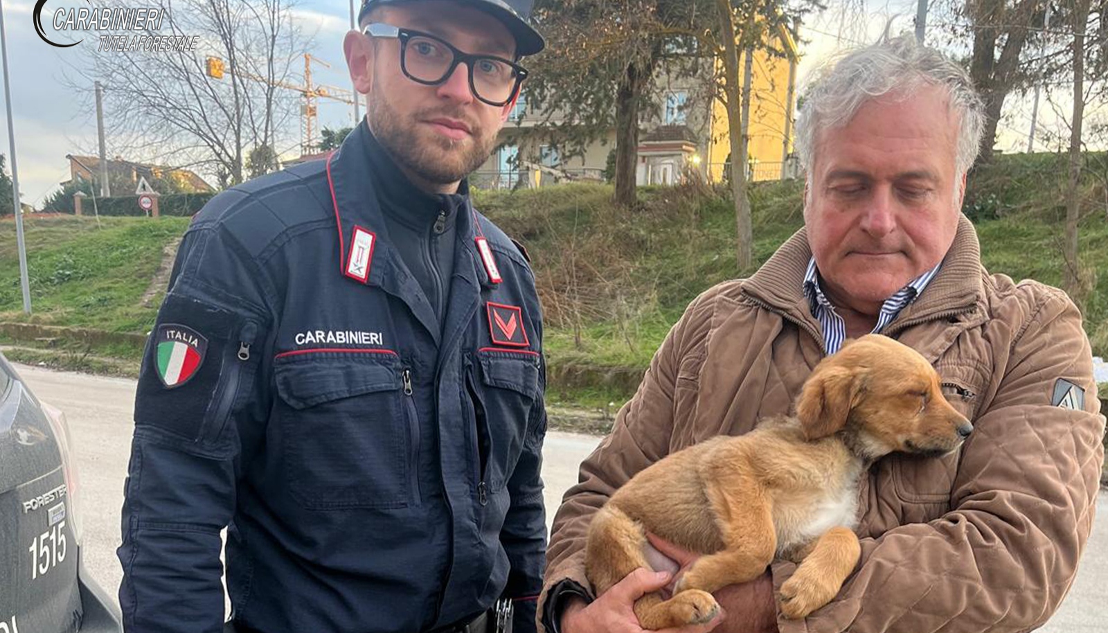 Lacedonia: salvato cane in stato di abbandono