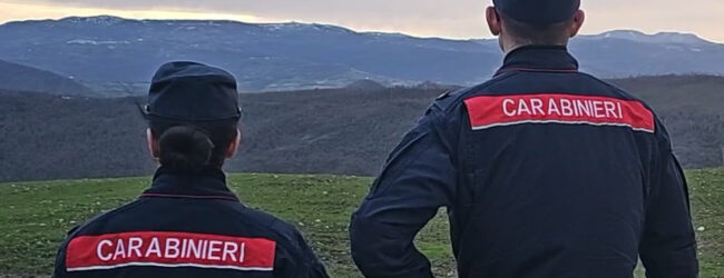 Avellino, i Carabinieri soccoroono due capre abbandonate