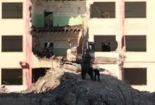 Torre, iscrizioni medie in calo. Citarelli: “ha inciso il ritardo negli abbattimenti”
