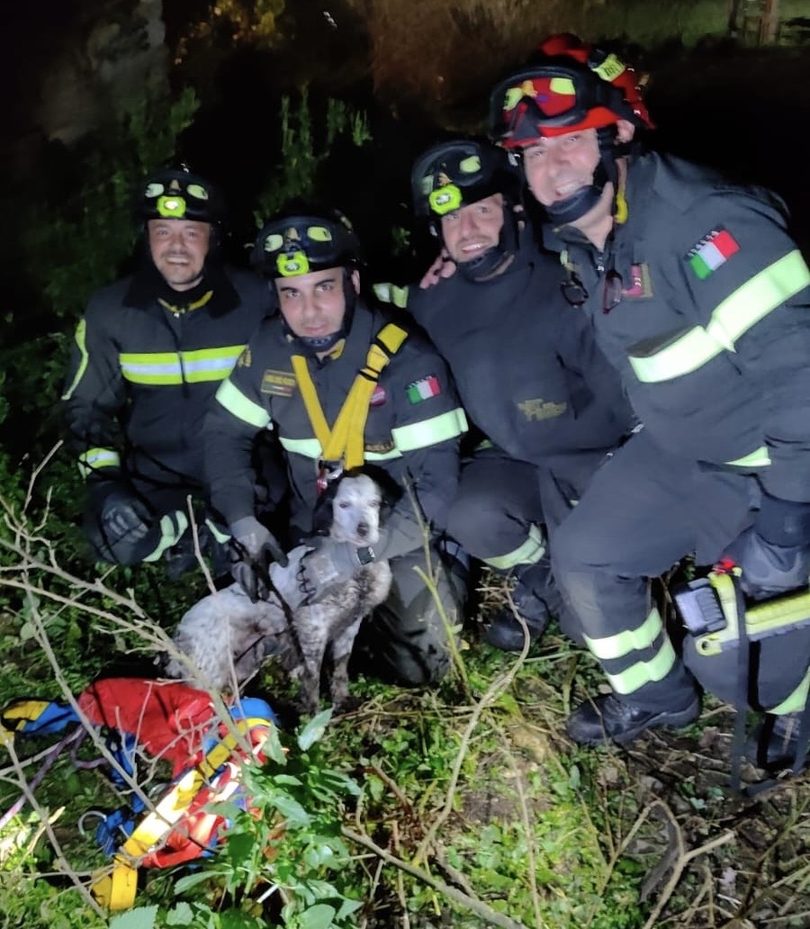 Cane intrappolato in un cunicolo: intervento dei Vigili del Fuoco a Salza Irpina