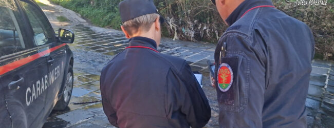 Trevico: i Carabinieri denunciano un imprenditore
