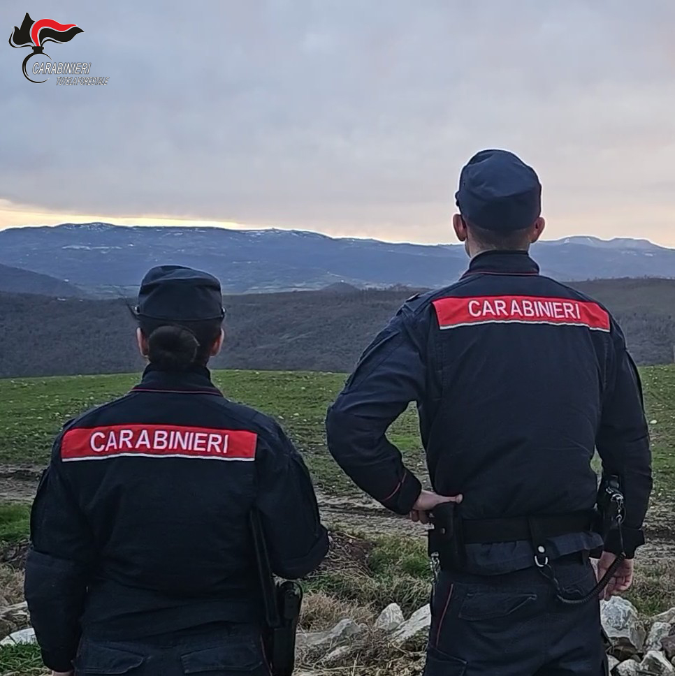 Vallo di Lauro: i Carabinieri denunciano due persone per abusivismo edilizio e gestione illecita di rifiuti   