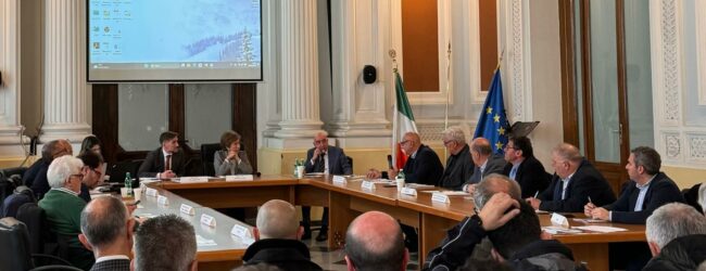 Fenomeno cinghiali, incontro in Prefettura. Agostinelli: “Emergenza reale e urgente”