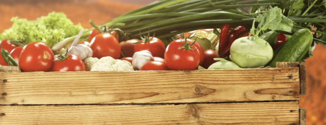 Agricoltura, la Campania cresce nella coltura protetta del pomodoro da mensa. Confagricoltura: “Nuove sfide all’orizzonte”