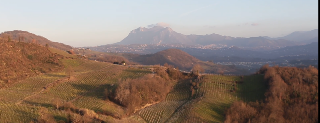 “FabLab Digital Di-wine”: Prosegue il progetto per la valorizzazione enogastronomica e culturale di Irpinia e Sannio