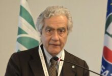 Giornata delle Foreste, l’appello di Confagricoltura Campania: rafforzare la filiera forestale per lo sviluppo locale e l’economia circolare