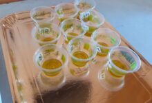 “Olio nuovo del mio paese” la IX edizione del concorso il programma il 30 marzo a Circello