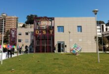 UniStem Day 2025: domani UNISANNIO partecipa alla giornata internazionale sulla ricerca sulle cellule staminali