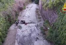 Mercogliano, Vigili del Fuoco salvano cagna gravida e due cuccioli in un canale di scolo
