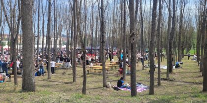 Parco De Mita, l’assessore Cappa al question time: “Presto stipula della convenzione”