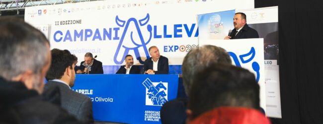 CampaniAlleva: area espositiva soldout! Svelate nuove info su programma e gestione traffico di Expo 2025
