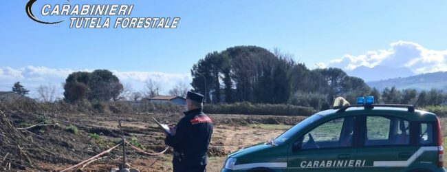 San Giorgio La Molara, lavori abusivi sul tratturo regio Pescasseroli-Candela: scatta il sequestro dell’area