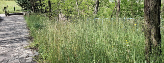 Area attrezzata Fontana Stritto: uno spettacolo indecoroso tardivo