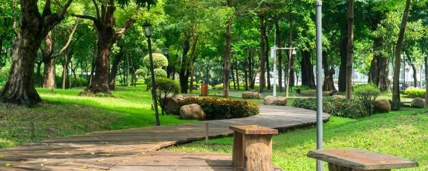 Mastella: “Dopo 23 anni, un’ altra opera torna a vivere: boom di prenotazioni al Parco De Mita”