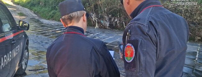 Mirabella Eclano: scarico illecito di acque reflue industriali: commerciante denunciato dai Carabinieri   