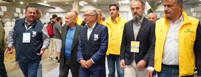 CampaniAlleva prosegue a gonfie vele. Al Cecas previsto il picco di visitatori