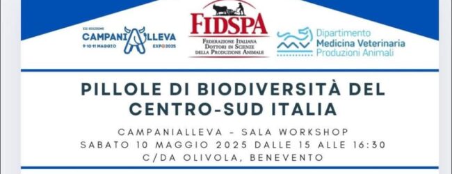 Peretti (Unina): Campania Alleva Expo 2025, un appuntamento importante per la tutela della biodiversità e delle piccole produzioni