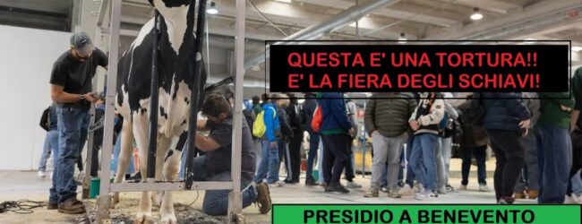 Alleanza Verdi Sinistra aderisce al presidio contro la Fiera degli Schiavi a CampaniAlleva