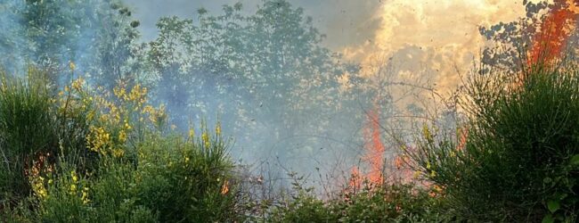 Torrioni, incendio fermato grazie al coraggio dei ragazzi dello SPRAR