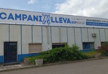 Apicoltura 2025, tra sfide ed opportunita’: appuntamento a CampaniAlleva