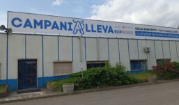 Apicoltura 2025, tra sfide ed opportunita’: appuntamento a CampaniAlleva