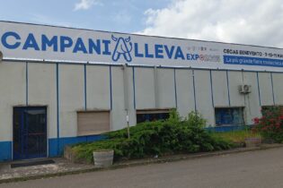 Apicoltura 2025, tra sfide ed opportunita’: appuntamento a CampaniAlleva