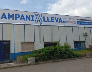 Apicoltura 2025, tra sfide ed opportunita’: appuntamento a CampaniAlleva