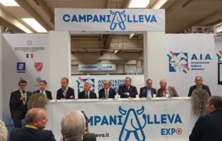 CampaniAlleva, Benevento per tre giorni la “Capitale della Zootecnia italiana”
