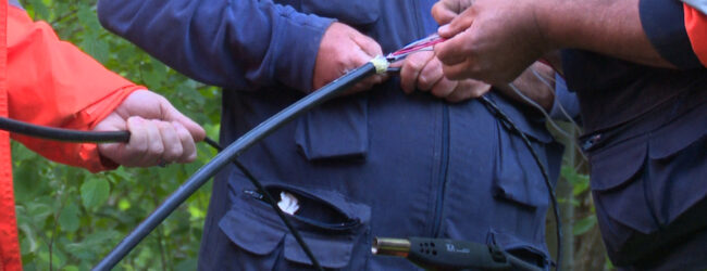 Blackout internet in Irpinia e Sannio: guasto risolto, ma servono tutele per le infrastrutture