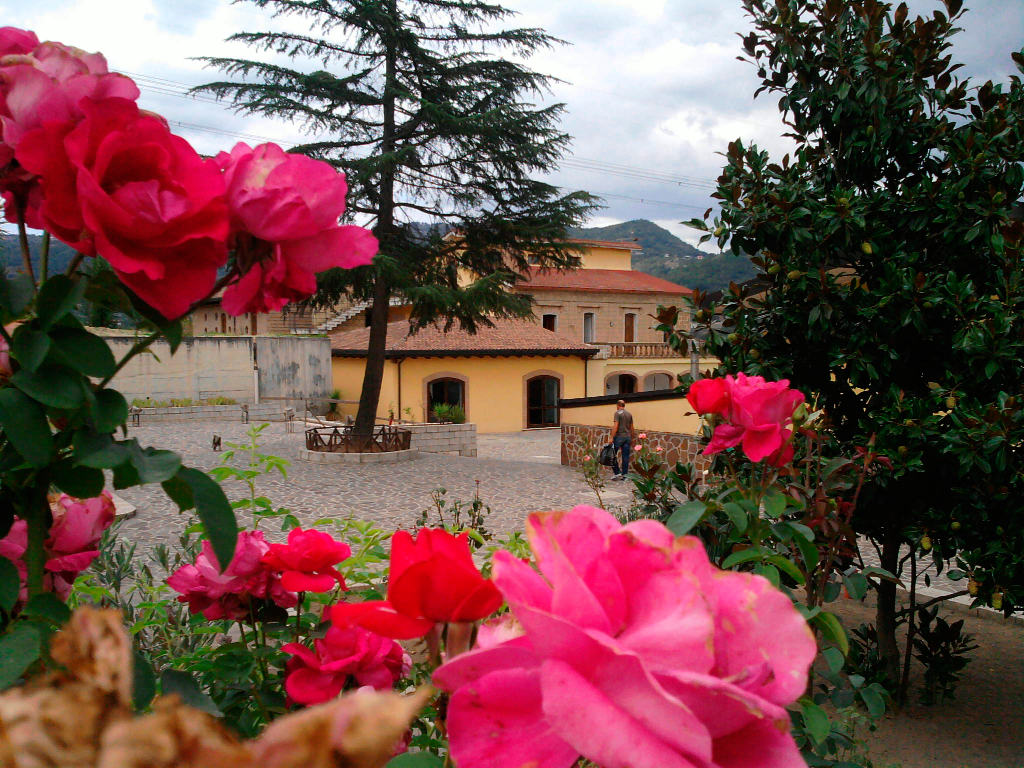 La Casa sulla Roccia celebra 40 anni: mercoledì focus su prevenzione e dipendenze