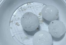 Maltempo nel Fortore: grandine e palle di ghiaccio danneggiano le coltivazioni