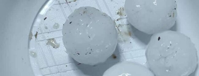 Maltempo nel Fortore: grandine e palle di ghiaccio danneggiano le coltivazioni