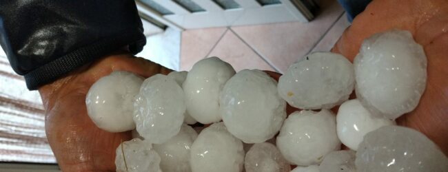 Grandinata nel beneventano: danni ingenti alle colture, il 50 per cento dei cereali e delle foraggere distrutto a San Bartolomeo in Galdo