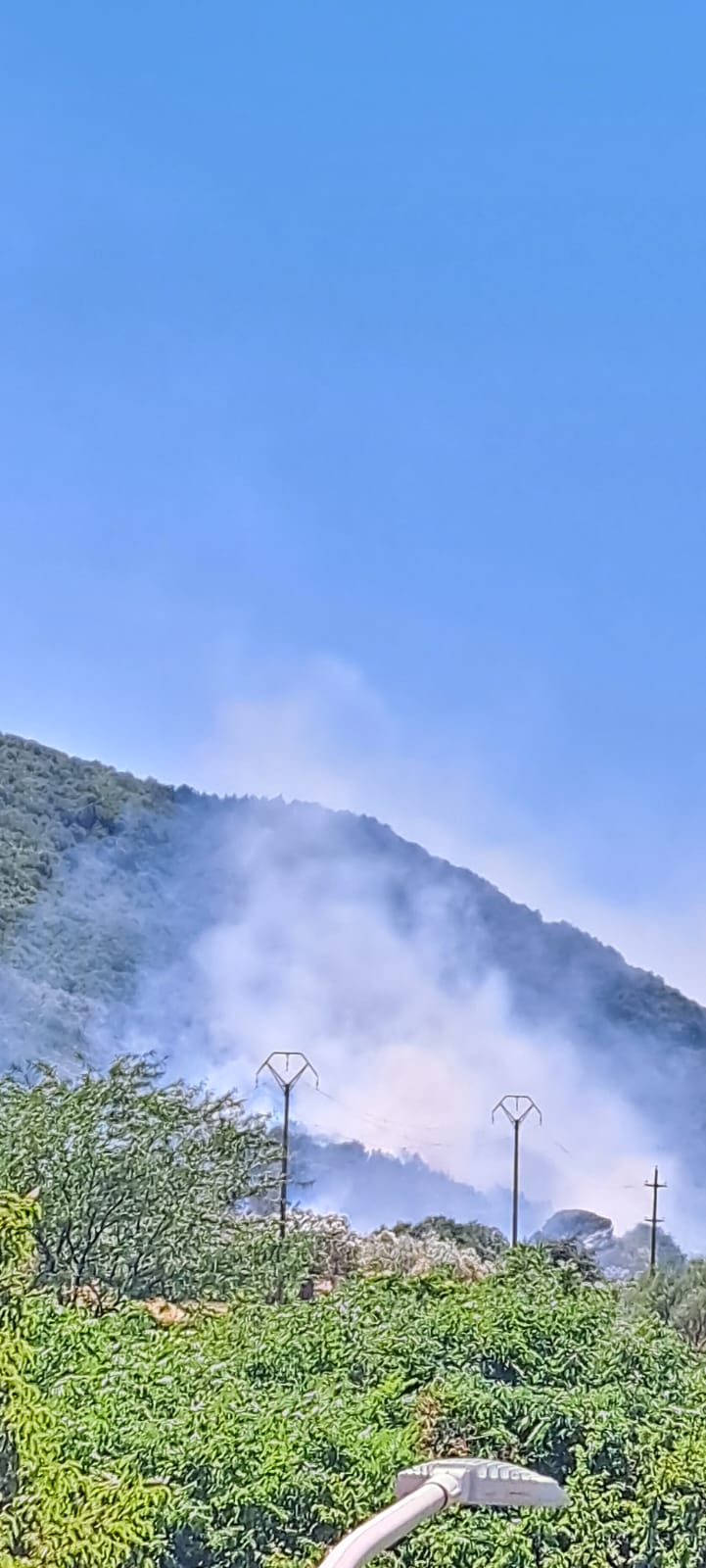 Incendi a Solopaca, intervento dei Canadair per domare le fiamme