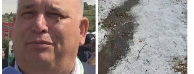 Grandinata Fortore, Fusco (CIA Campania): ci faremo valere per ottenere risarcimenti. Non possiamo solo subire furie della natura distruttive