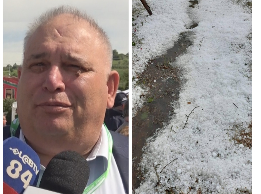 Grandinata Fortore, Fusco (CIA Campania): ci faremo valere per ottenere risarcimenti. Non possiamo solo subire furie della natura distruttive