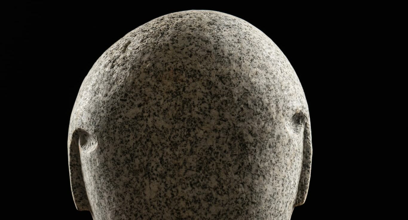 Immagine WhatsApp 2025-06-03 ore 18.50.46_dca6ef71