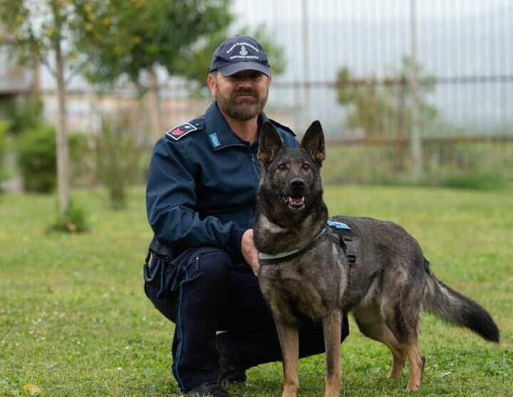 Addio a Umea, la “Lupa Sannita”: eroe silenzioso della Polizia Penitenziaria